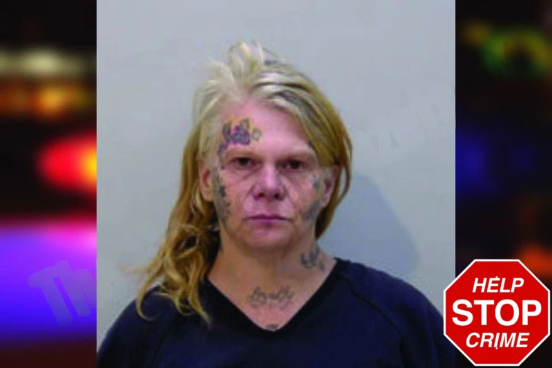 April Ellis Mugshots