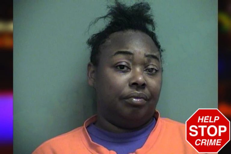 April Jones mugshot – Effingham County , Georgia April Jones