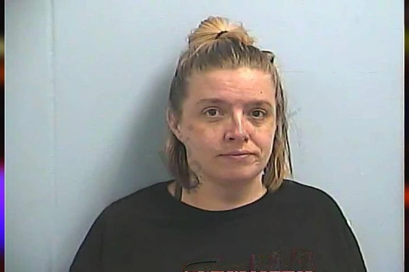 April Mimbs Mugshots