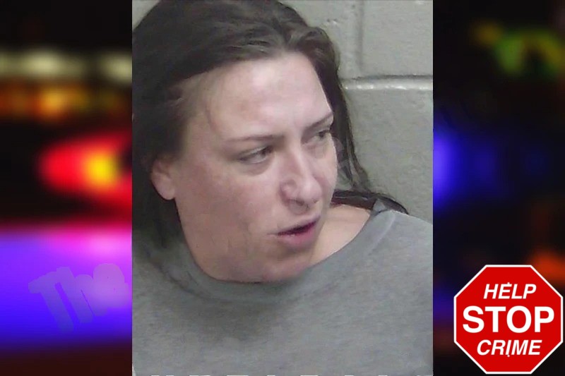 April Struckhoff mugshot – Wayne County , Georgia April Struckhoff mugshot