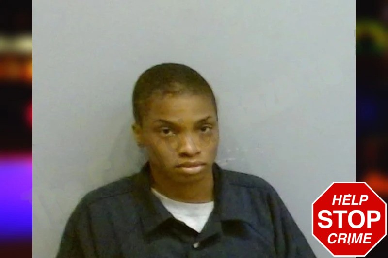 April Thummalapally Mugshots