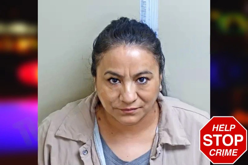 Araceli Hernandez-Ortega mugshot