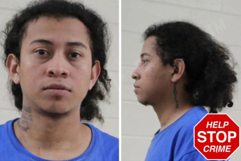 Arevanos Fernando mugshot – Houston County , Georgia Arevanos Fernando