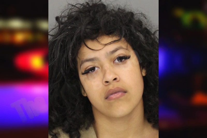 Ariana Sawyer Mugshots