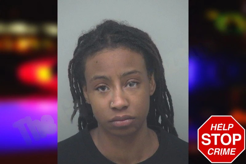 Ariana Smith Mugshots