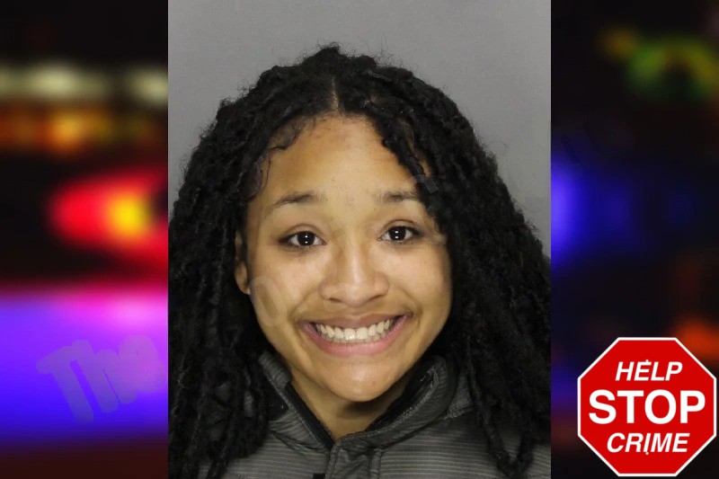 Arianna Allen Mugshots