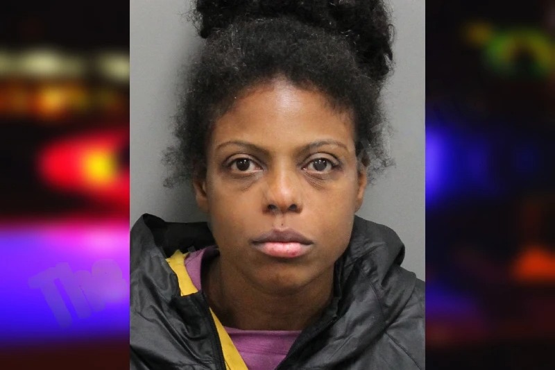 Arianna Powers Mugshots