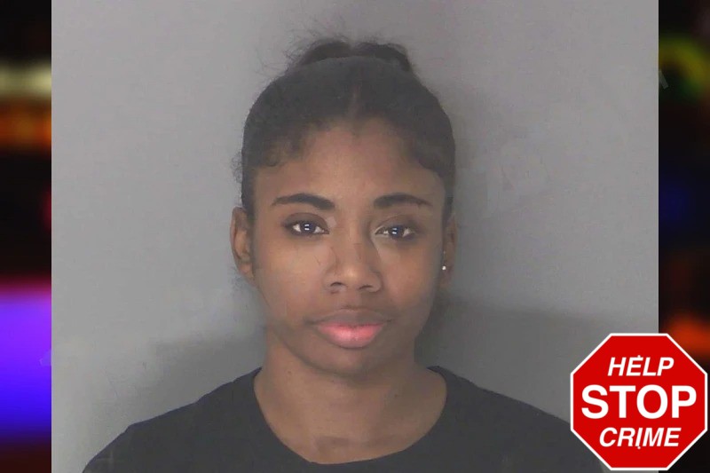 Ariel Martin Mugshots