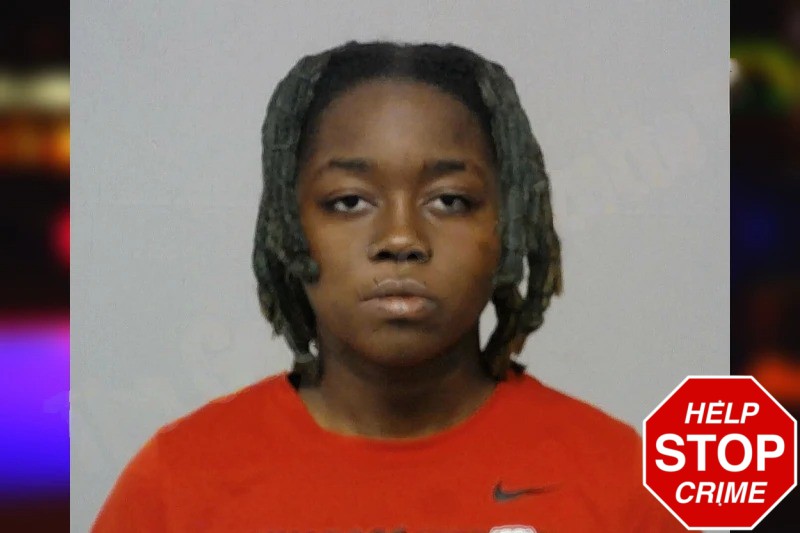 Arielle Freeman Mugshots