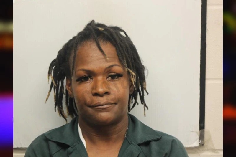 Arielle Hudson Mugshots