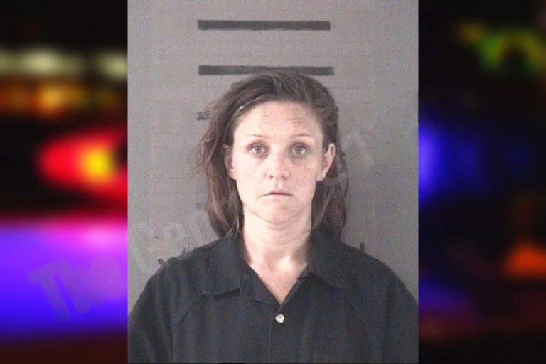 Arlene Terry mugshot – Dougherty County , Georgia Arlene Terry