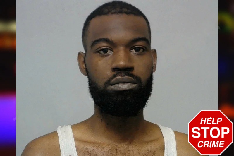 Arteliess Gardner Mugshots