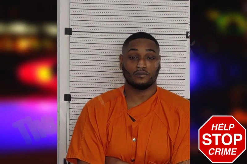 Artimis Starks Mugshots