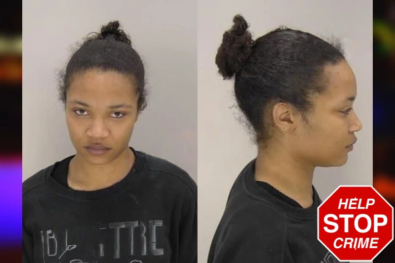 Ashaiyah Turner mugshot