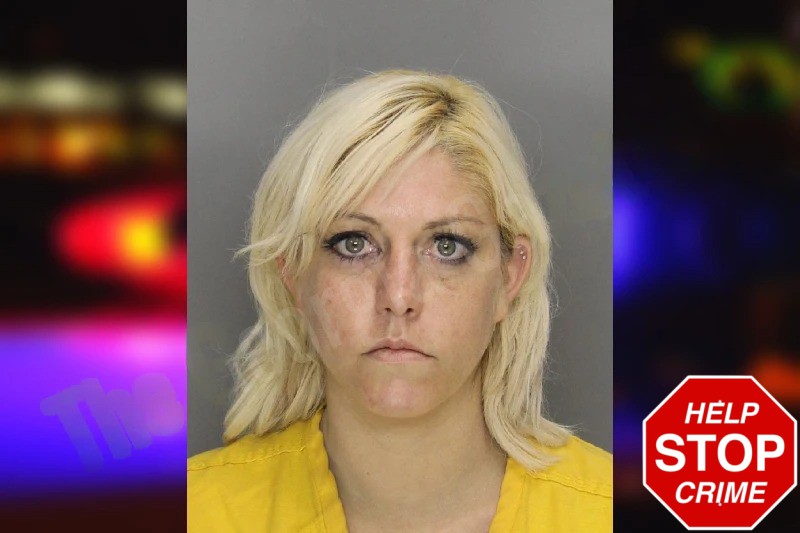 Ashlee Thayer mugshot