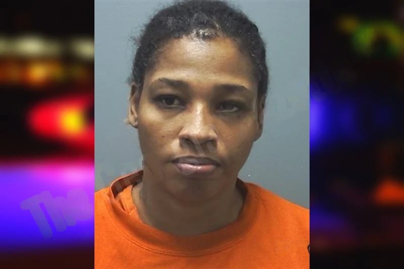 Ashley Anderson Mugshots