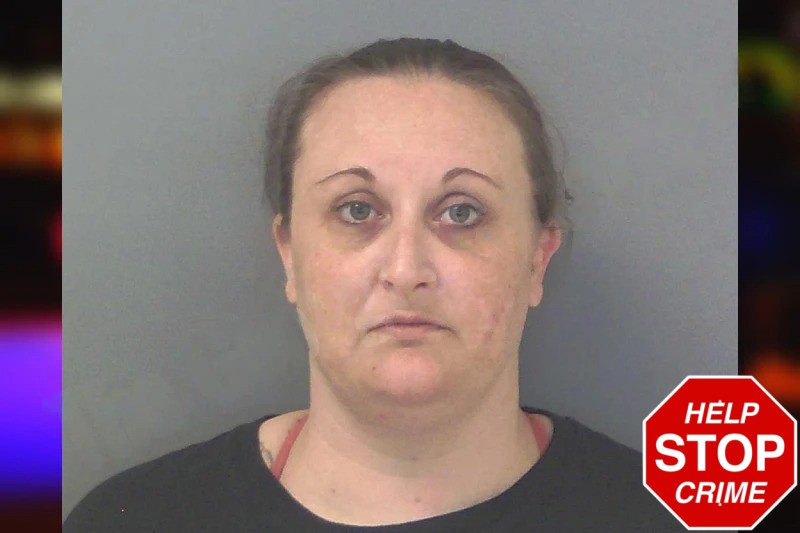 Ashley Bolinsky mugshot