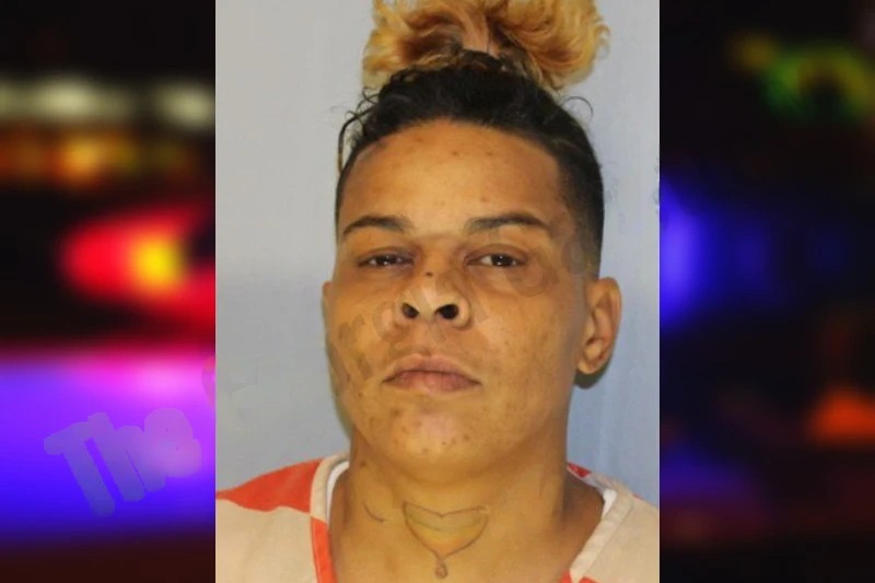 Ashley Bowens Mugshots