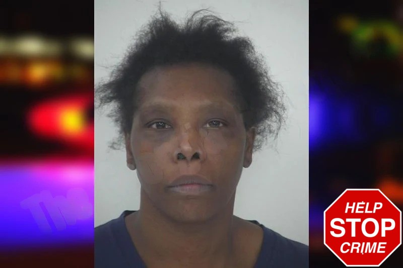 Ashley Boyd Mugshots