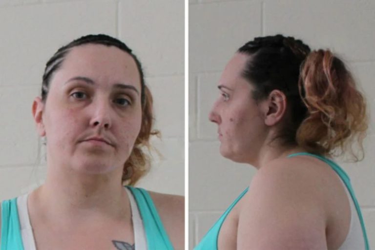 Ashley Brooks mugshot – Houston County , Georgia Ashley Brooks