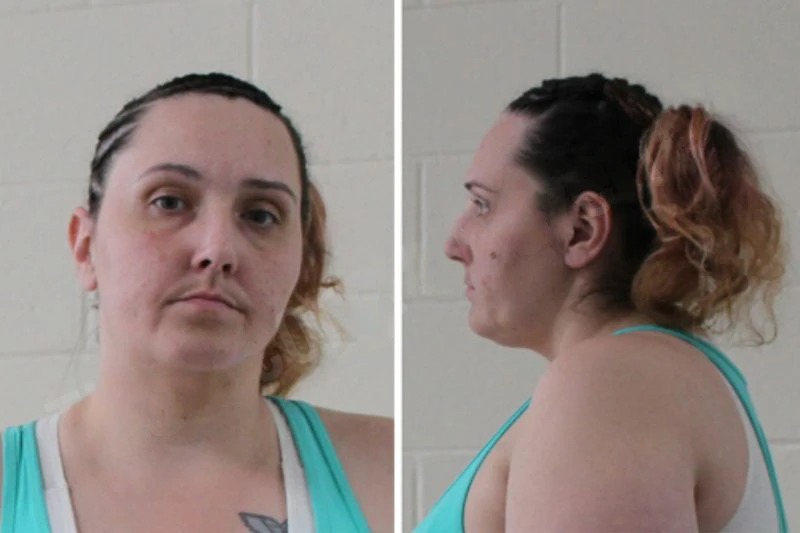 Ashley Brooks Mugshots