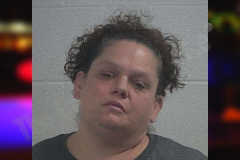 Ashley Brookshire mugshot – McDuffie County , Georgia Ashley Brookshire