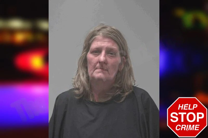 Ashley Brown mugshot