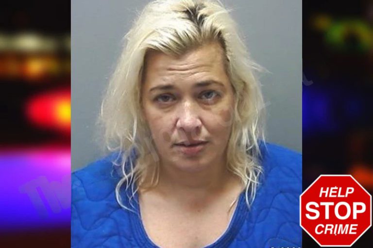 Ashley Dame mugshot – Cherokee County , Georgia Ashley Dame