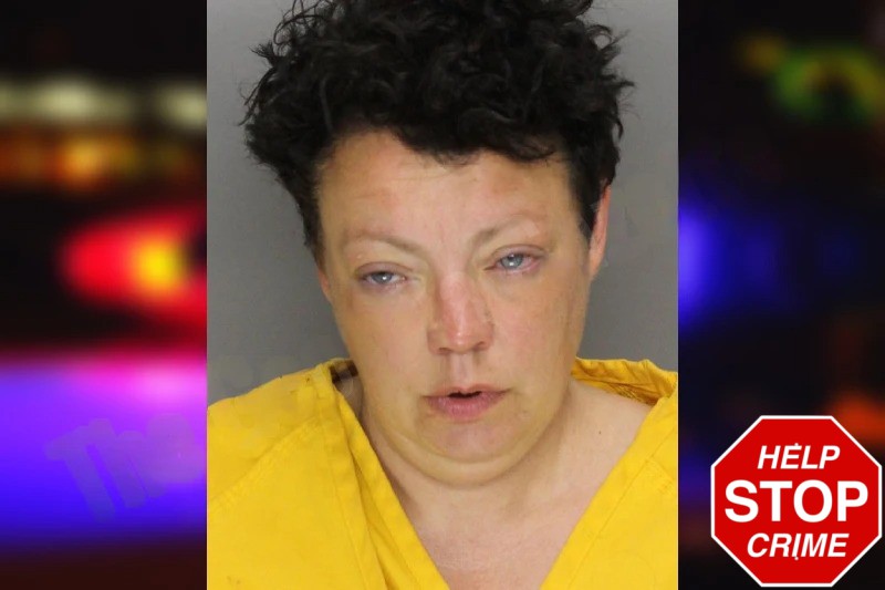 Ashley Ferrara mugshot