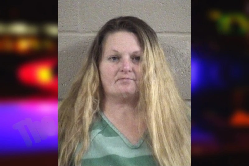 Ashley Hall-Pedigo Mugshots