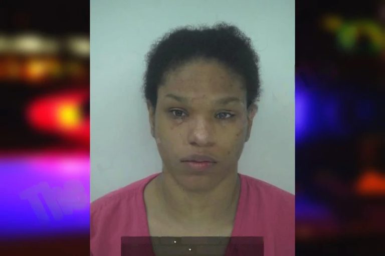 Ashley Johnson mugshot – Fayette County , Georgia Ashley Johnson