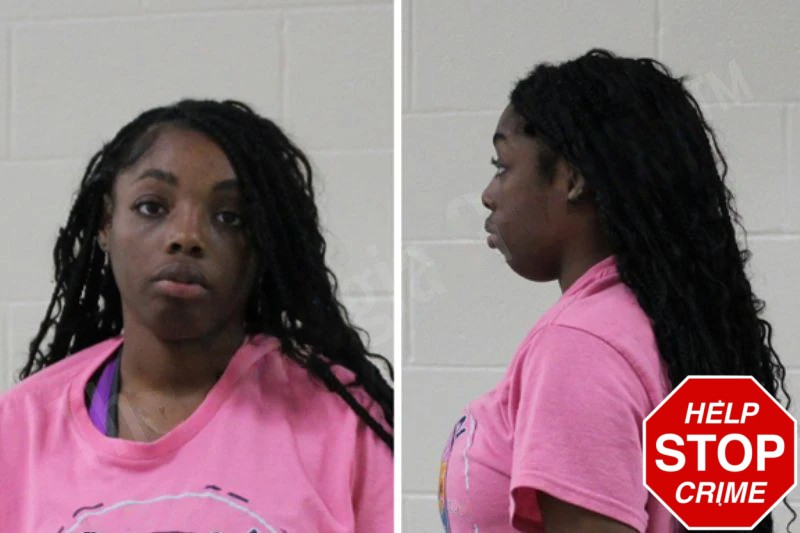 Ashley Kaigler Mugshots