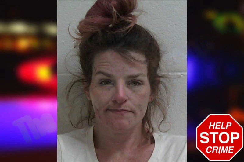 Ashley Kelley Mugshots