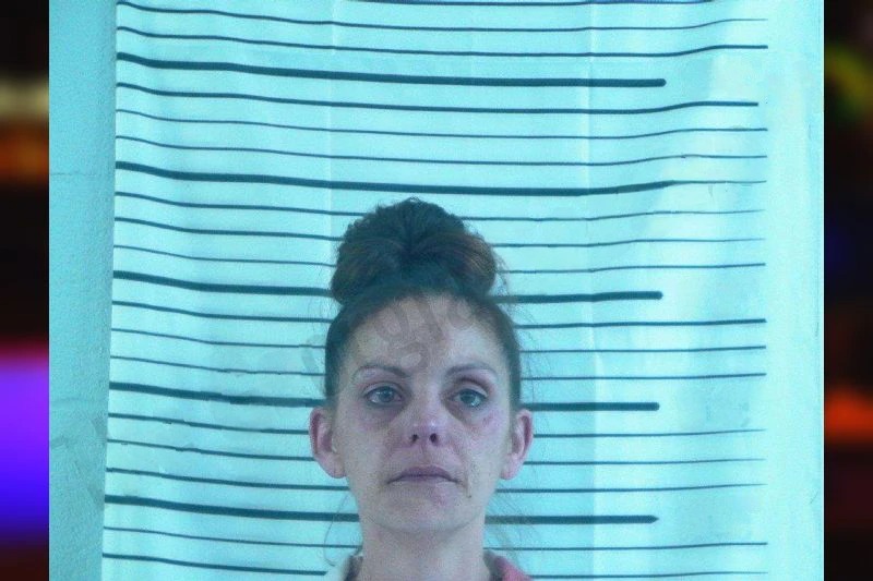 Ashley Lalumia Mugshots