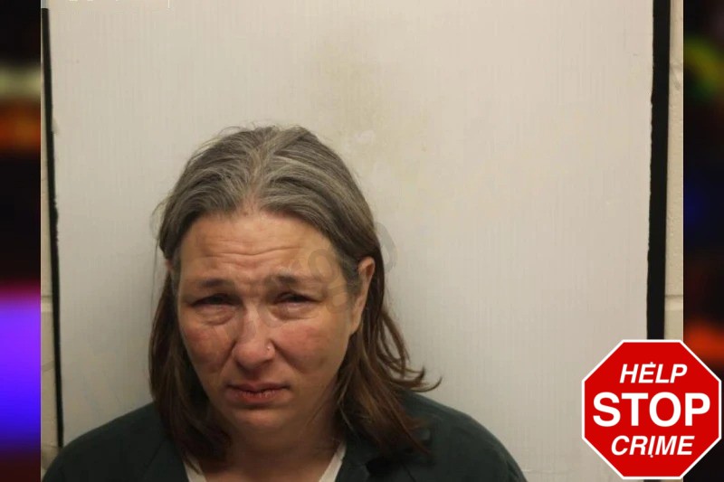 Ashley Lites Mugshots