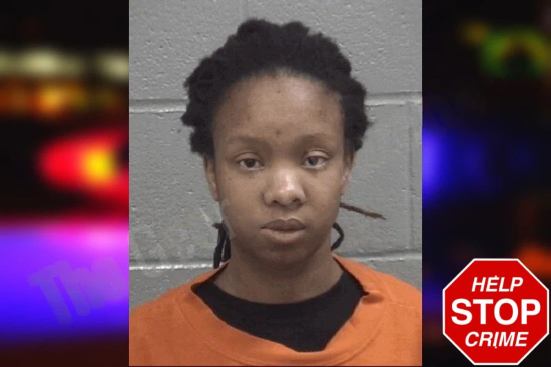 Ashley Mayers Mugshots