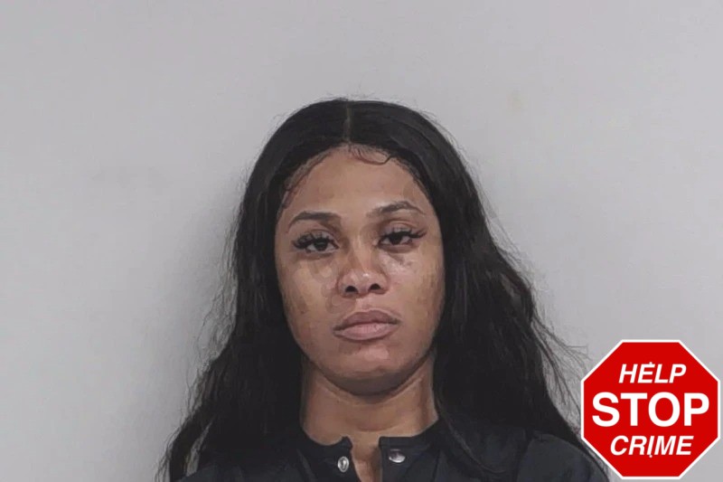 Ashley Medina Mugshots