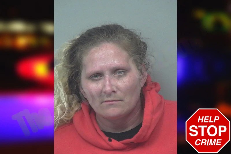 Ashley Miller Mugshots