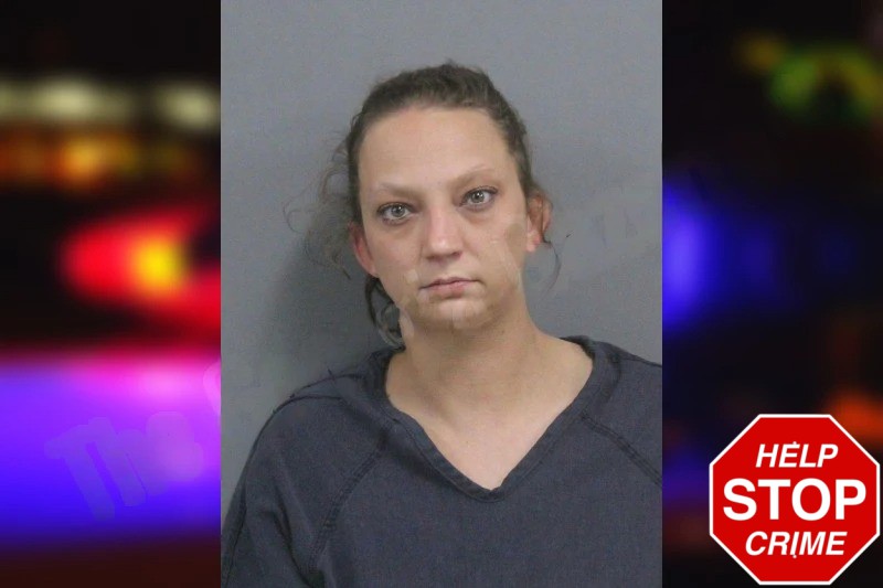 Ashley Morrison Mugshots