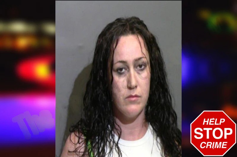 Ashley Parker Mugshots