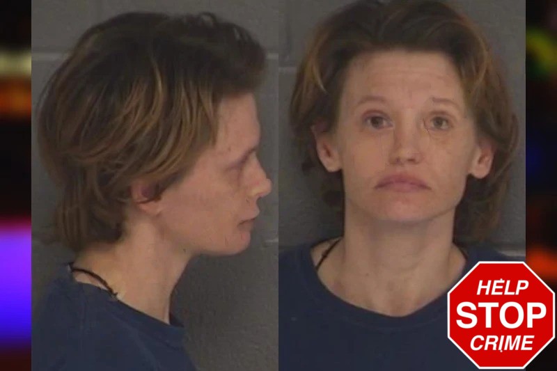 Ashley Reese Mugshots