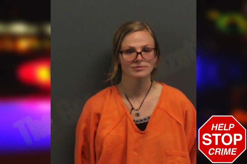 Ashley Sanford Mugshots