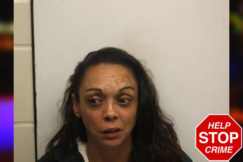 Ashley Shuman McPherson Mugshots