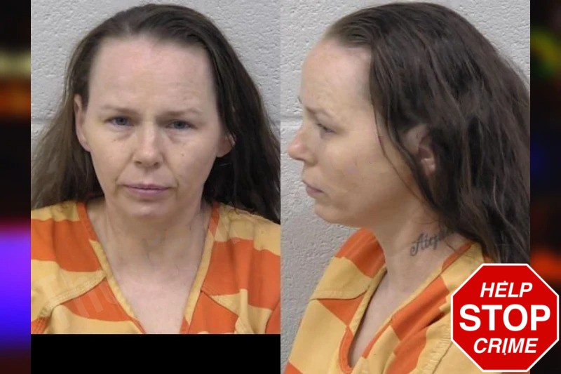 Ashley Smull Mugshots