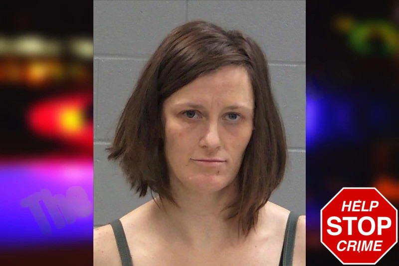 Ashley Springer Mugshots