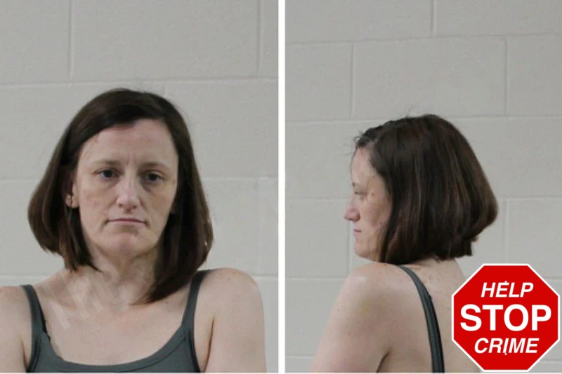 Ashley Springer Mugshots