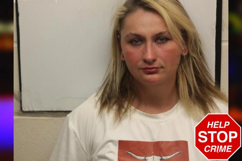 Ashley Vickers Mugshots