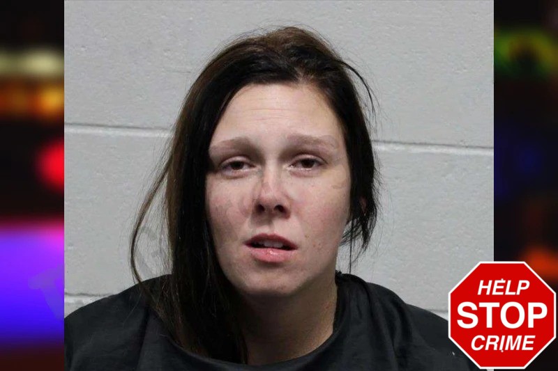 Ashley Wade Mugshots