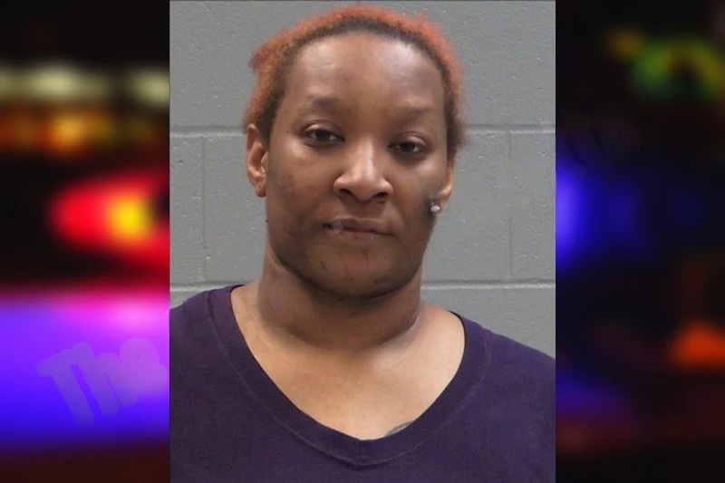 Ashley Warren Mugshots