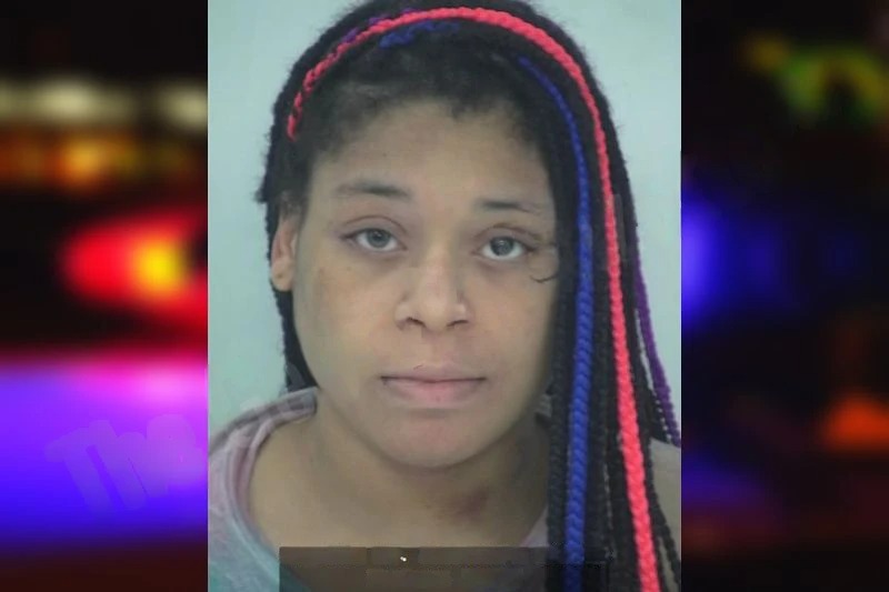 Ashley Williames mugshot – Fayette County , Georgia Ashley Williames mugshot